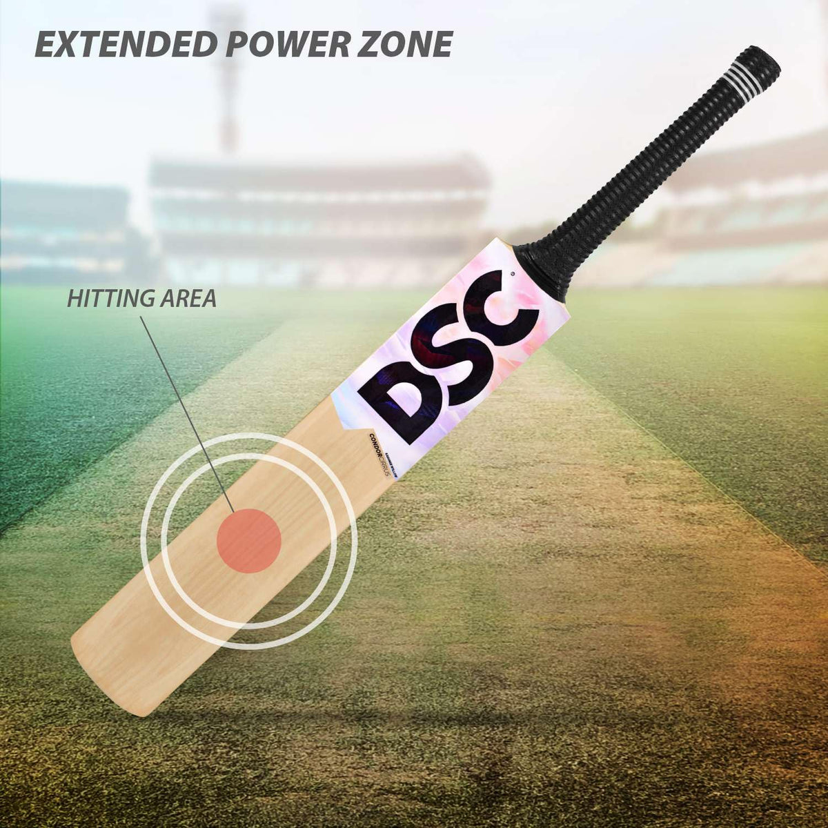 DSC Condor Cirrus Kashmir Willow Bat - Athlete’s Choice